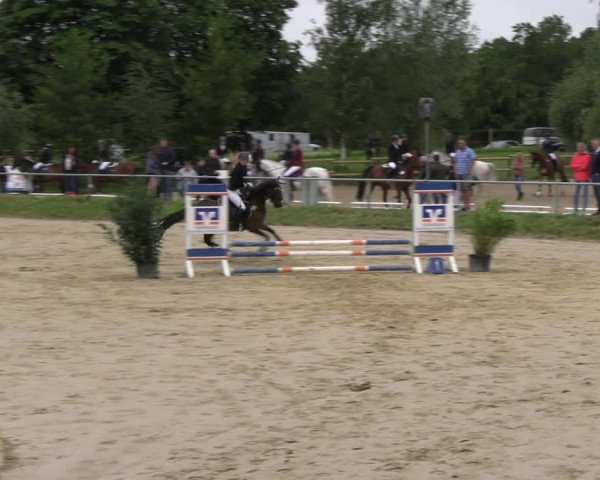 Reitturnier Herbern 2023