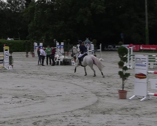 Reitturnier Vlotho-Exter 2023