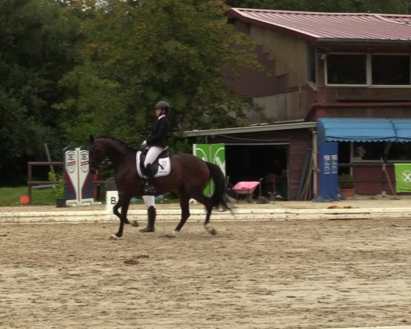 Reitturnier Marienheide-Kempershöhe 2023