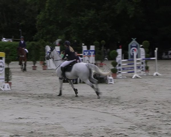 Reitturnier Vlotho-Exter 2023