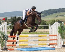 jumper I'm A Special Girl (Holsteiner, 2017, from I'm Special de Muze)