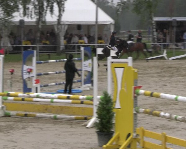 Reitturnier Herbern 2023