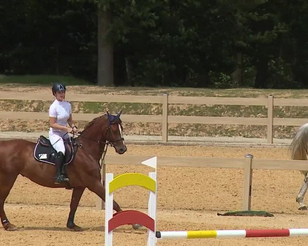 Reitturnier Tiefenhof/Opf. 2023