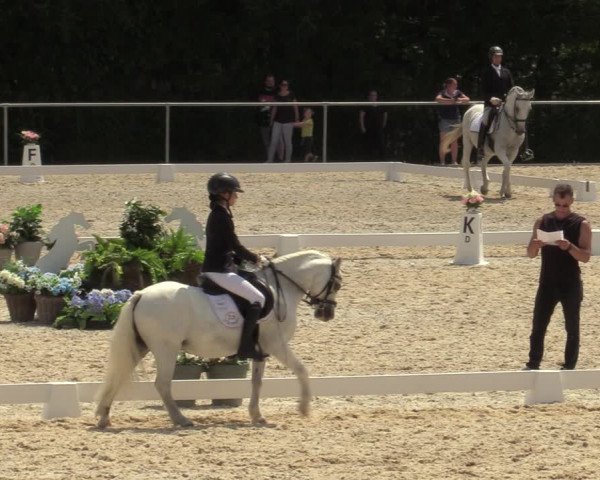 Reitturnier Amstetten 2023