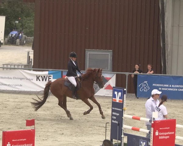 Reitturnier Ehningen 2023
