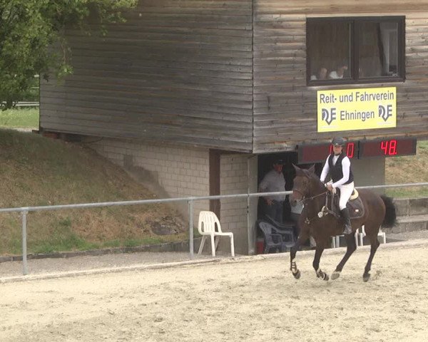 Reitturnier Ehningen 2023