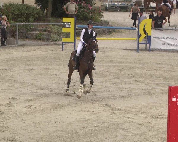 Reitturnier Ehningen 2023