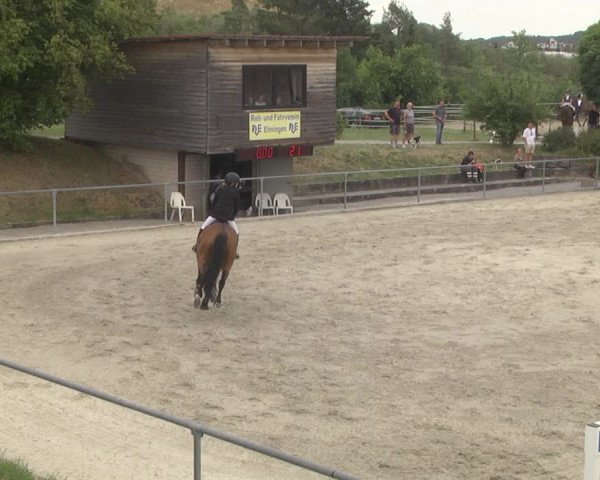 Reitturnier Ehningen 2023