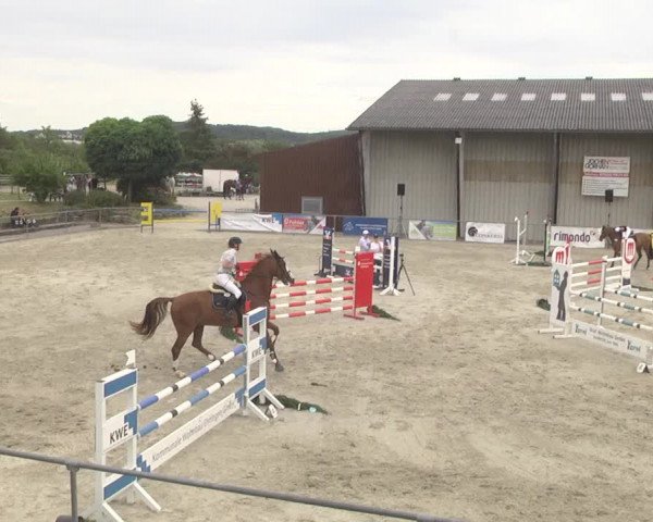 Reitturnier Ehningen 2023