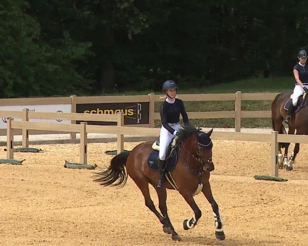Reitturnier Tiefenhof/Opf. 2023
