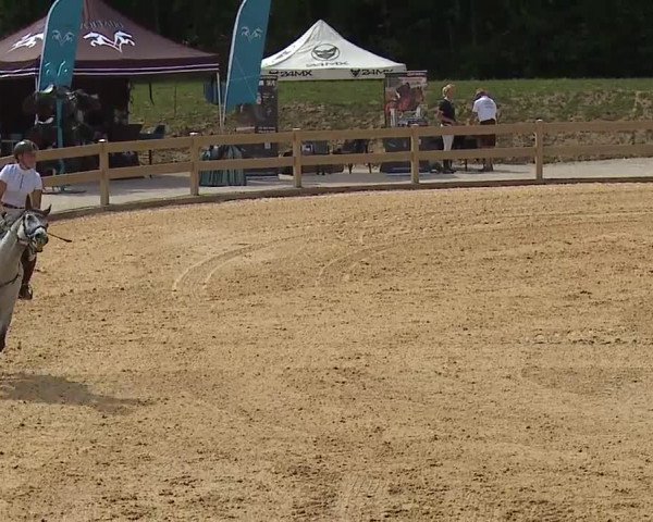 Reitturnier Tiefenhof/Opf. 2023