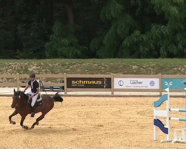 Reitturnier Tiefenhof/Opf. 2023