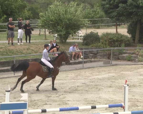 Reitturnier Ehningen 2023