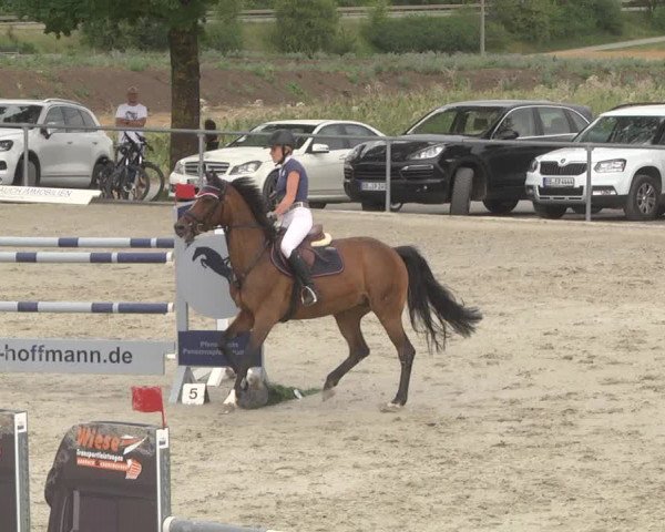 Reitturnier Ehningen 2023
