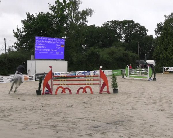 Reitturnier Herbern 2023