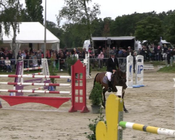 Reitturnier Herbern 2023