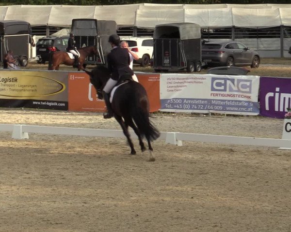 Reitturnier Amstetten 2023