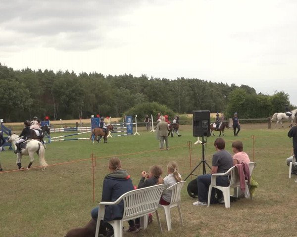 Reitturnier Thönse 2023