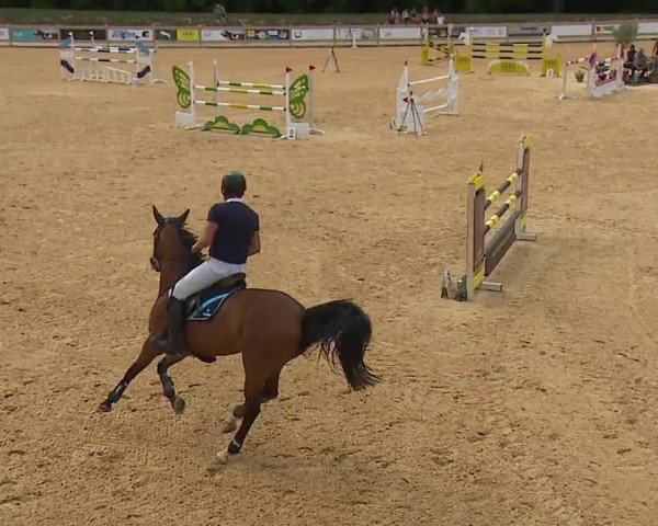 Reitturnier Tiefenhof/Opf. 2023