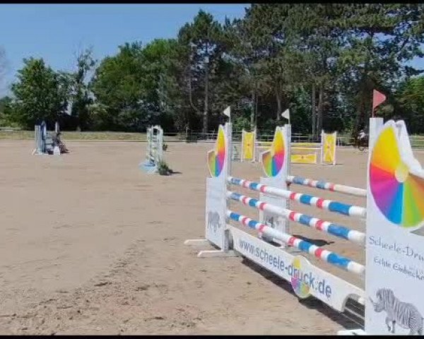 Video of Chapter