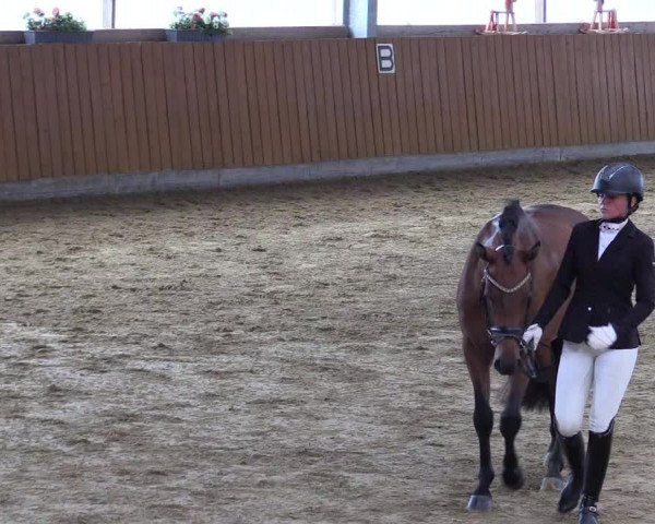Reitturnier Herbern 2023