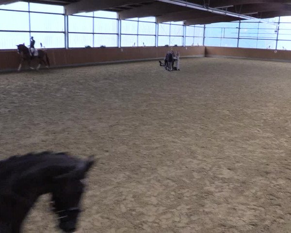 Reitturnier Herbern 2023