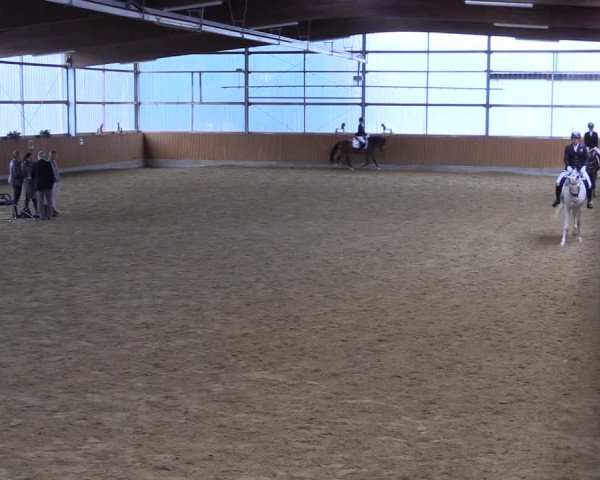 Reitturnier Herbern 2023