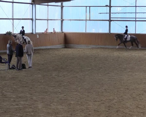 Reitturnier Herbern 2023