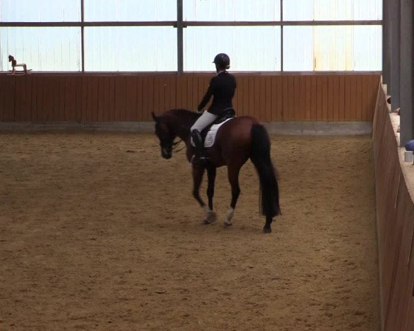 Reitturnier Herbern 2023