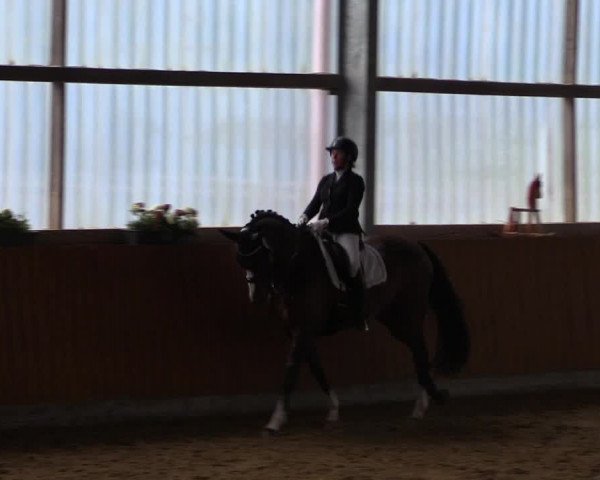 Reitturnier Herbern 2023