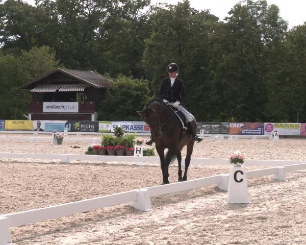 Reitturnier Amstetten 2023