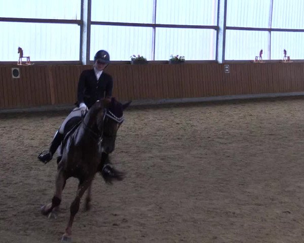 Reitturnier Herbern 2023