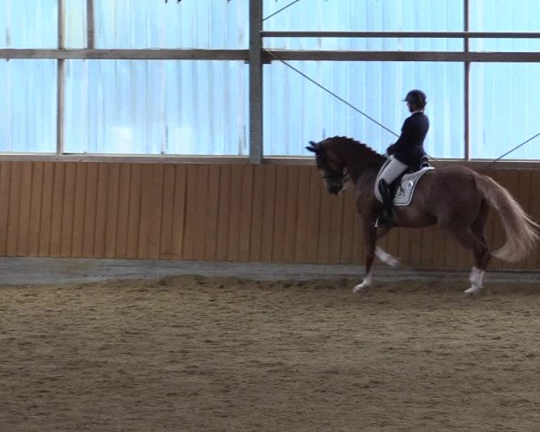 Reitturnier Herbern 2023