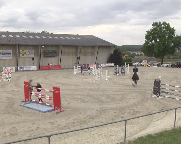 Reitturnier Ehningen 2023