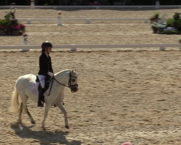 Reitturnier Amstetten 2023