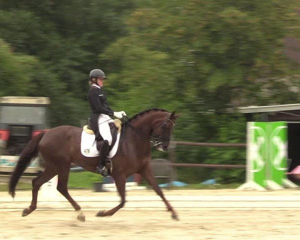 Reitturnier Marienheide-Kempershöhe 2023