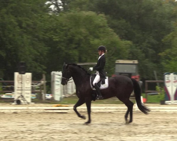 Reitturnier Marienheide-Kempershöhe 2023
