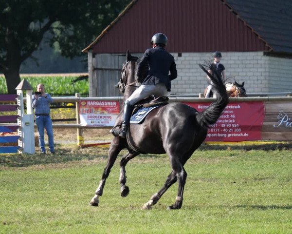 Reitturnier Engter 2023