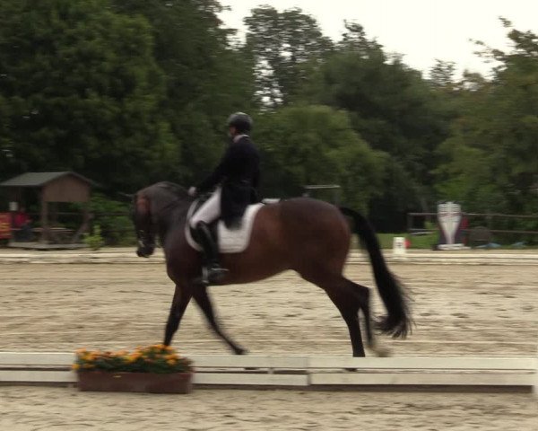 Reitturnier Marienheide-Kempershöhe 2023