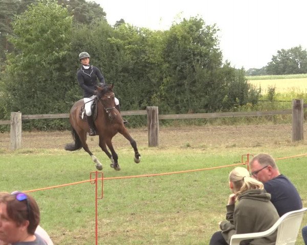 Reitturnier Thönse 2023