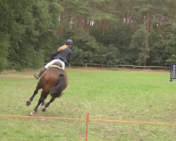 Reitturnier Thönse 2023