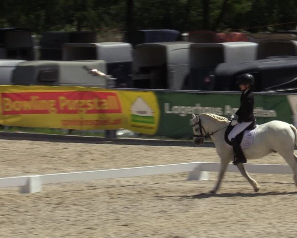 Reitturnier Amstetten 2023