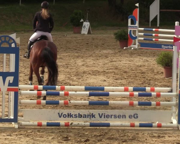 Reitturnier Viersen-Dülken 2023