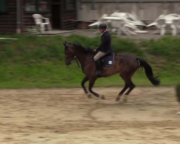 Reitturnier Viersen-Dülken 2023