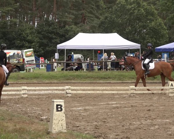 Reitturnier Thönse 2023