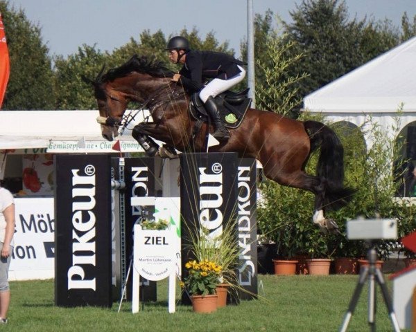 Hannes Tremp