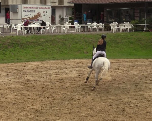 Reitturnier Viersen-Dülken 2023