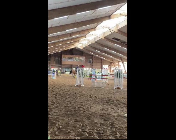 Video von Cuthbert B