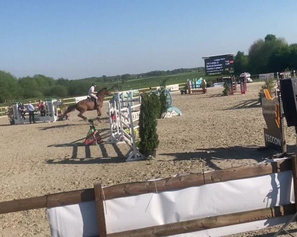 Video von Cuthbert B