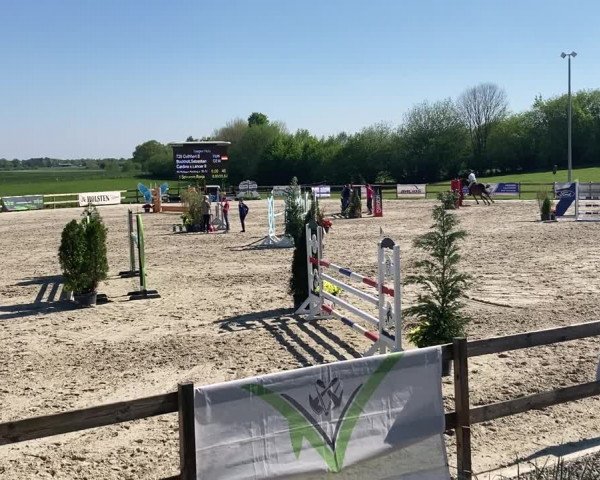 Video von Cuthbert B